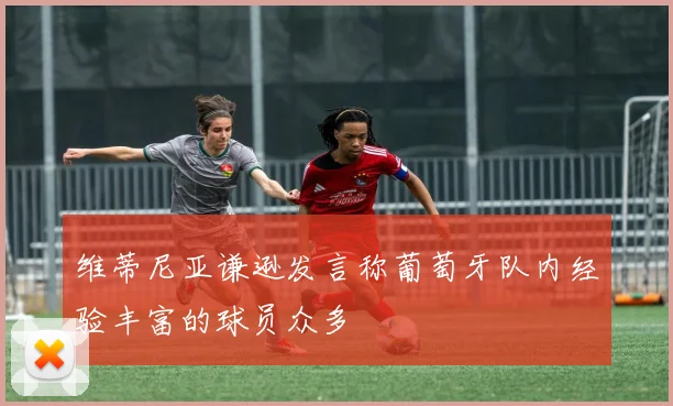 维蒂尼亚谦逊发言称葡萄牙队内经验丰富的球员众多