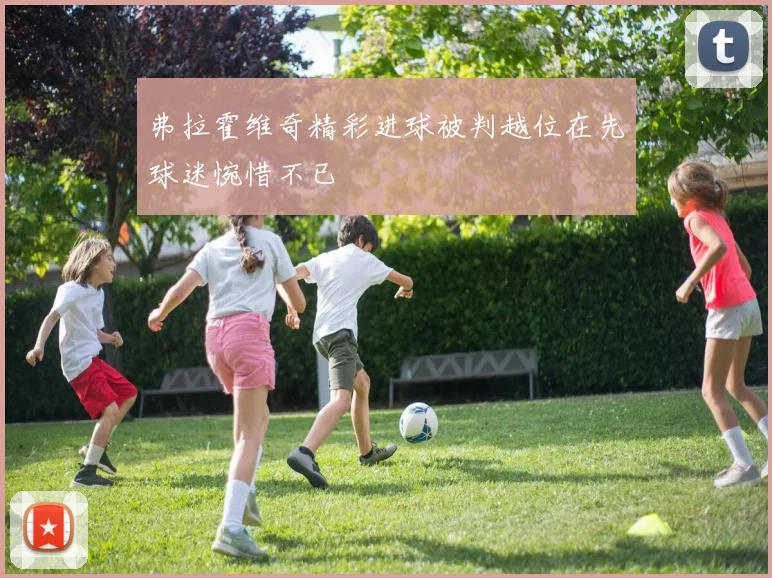 弗拉霍维奇精彩进球被判越位在先球迷惋惜不已